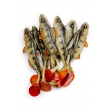 Angry Lures Angry Perch 19,5cm NOR