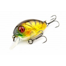 Pontoon21 Baby Red Rag 32F-SR 837