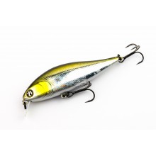 Pontoon 21 Bet-A-Shiner SR 82SP-SR color R30