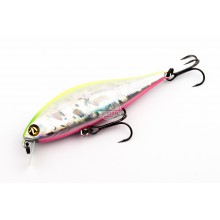 Pontoon 21 Bet-A-Shiner SR 82SP-SR color A62