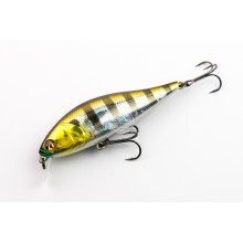 Pontoon 21 Bet-A-Shiner SR 82SP-SR color 007