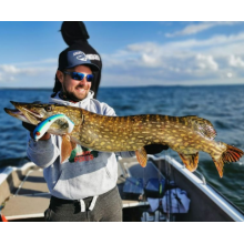 Guma Angry Pikes Tyson 17cm 45g - Borygo