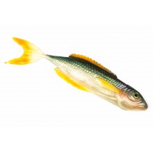 Guma FishB Vertigo 22cm kolor 1