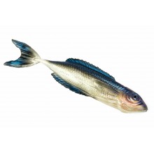 Guma FishB Vertigo 22cm kolor 3