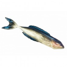 Guma FishB Vertigo 12cm kolor 1