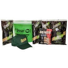 Zestaw Sensas Feeder Big Fish