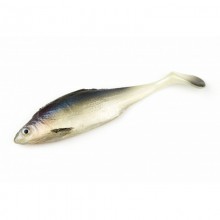 Guma FishB Wzdręga 10cm - kolor 6